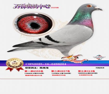 �����f��Qِ313��