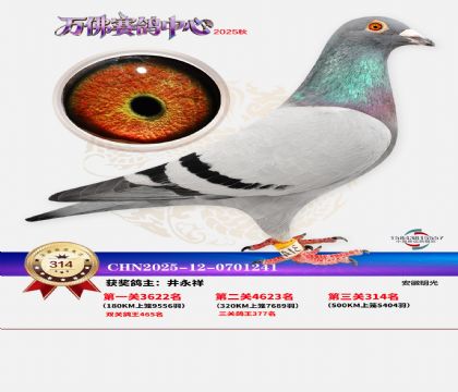 �����f��Qِ314��