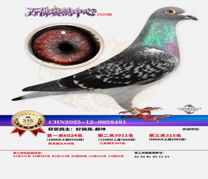 �����f��Qِ315��