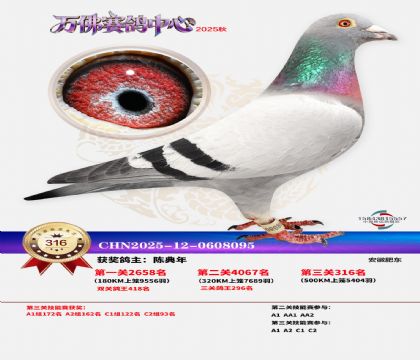 �����f��Qِ316��