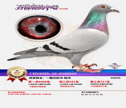 �����f��Qِ317��