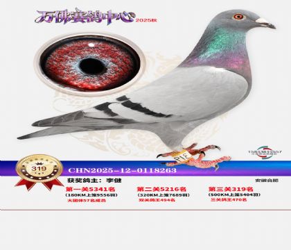 �����f��Qِ319��