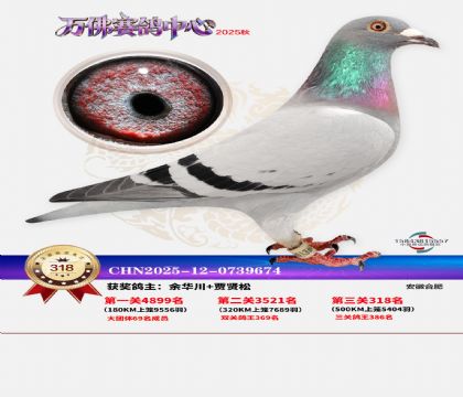 �����f��Qِ318��