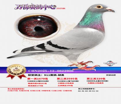 �����f��Qِ320��