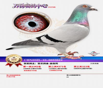 �����f��Qِ322��