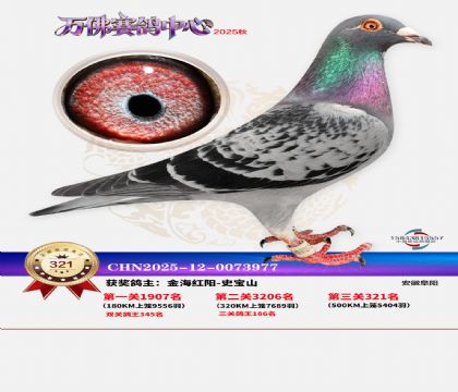 �����f��Qِ321��