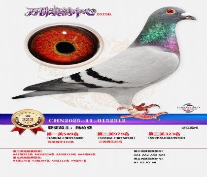 �����f��Qِ323��