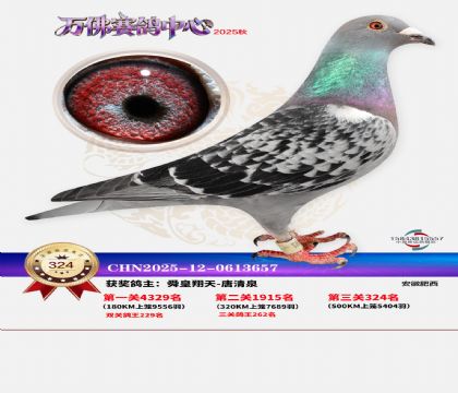 �����f��Qِ324��