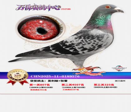 �����f��Qِ325��