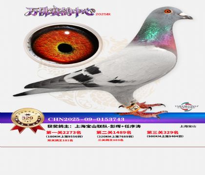 �����f��Qِ329��