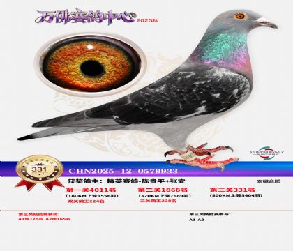 �����f��Qِ331��