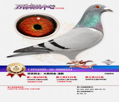 �����f��Qِ332��