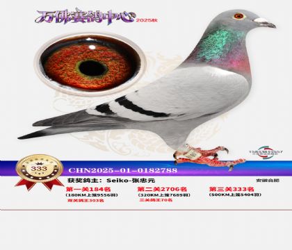 �����f��Qِ333��