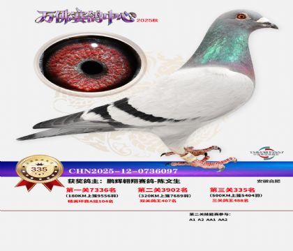 �����f��Qِ335��