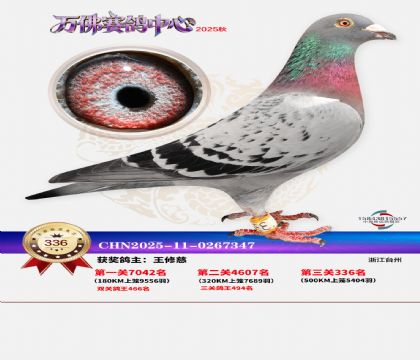 �����f��Qِ336��