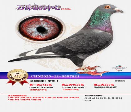 �����f��Qِ337��