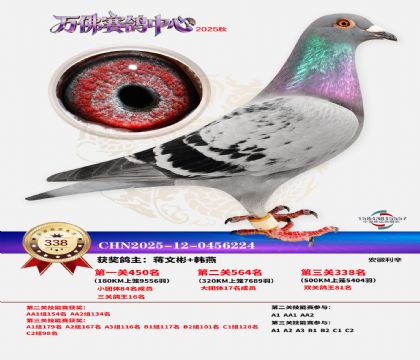 �����f��Qِ338��