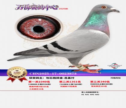 �����f��Qِ340��