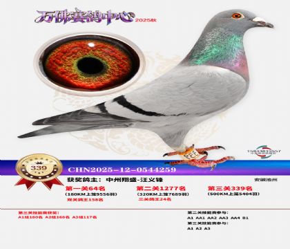 �����f��Qِ339��