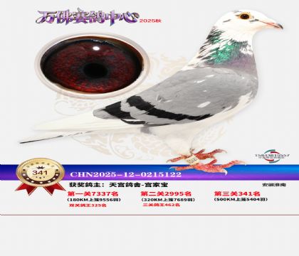 �����f��Qِ341��