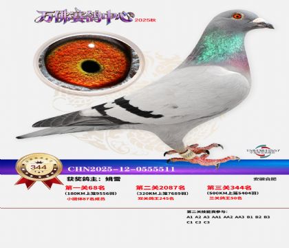 �����f��Qِ344��