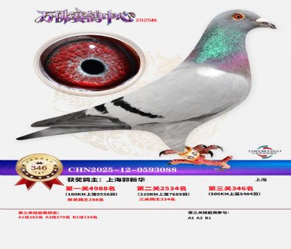 �����f��Qِ346��