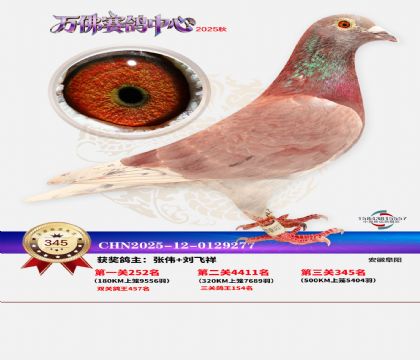 �����f��Qِ345��