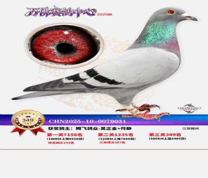 �����f��Qِ349��