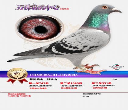 �����f��Qِ351��