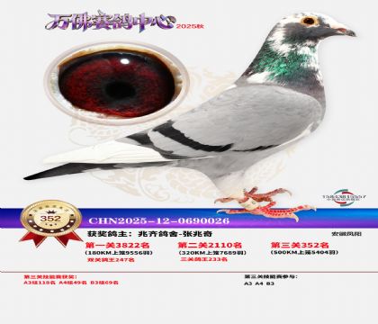 �����f��Qِ352��