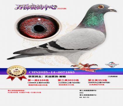 �����f��Qِ353��