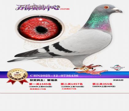 �����f��Qِ355��