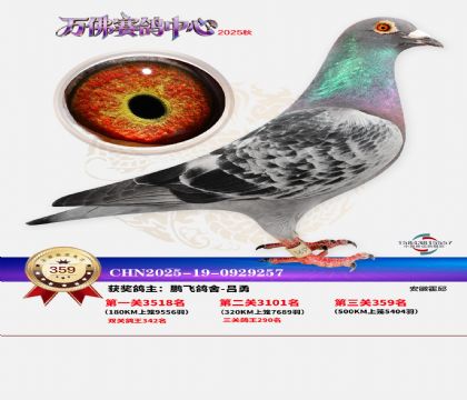 �����f��Qِ359��