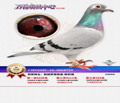 �����f��Qِ358��