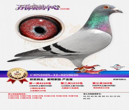 �����f��Qِ360��