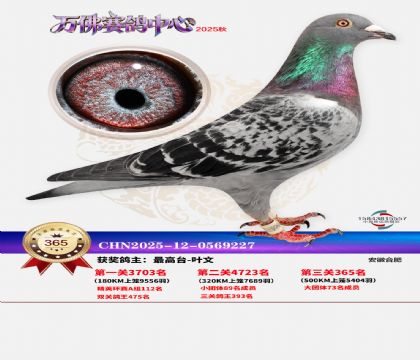 �����f��Qِ365��