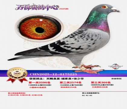 �����f��Qِ366��