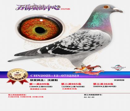 �����f��Qِ368��