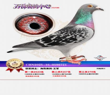 �����f��Qِ370��