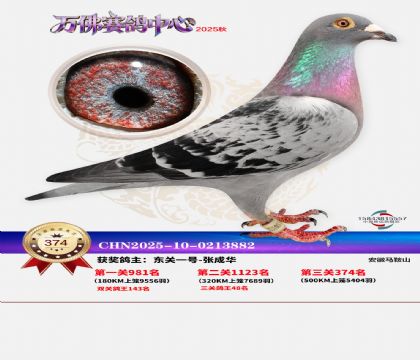 �����f��Qِ374��