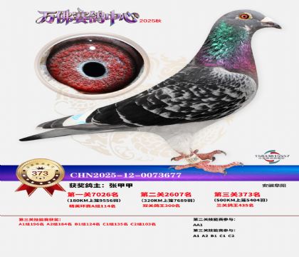 �����f��Qِ373��