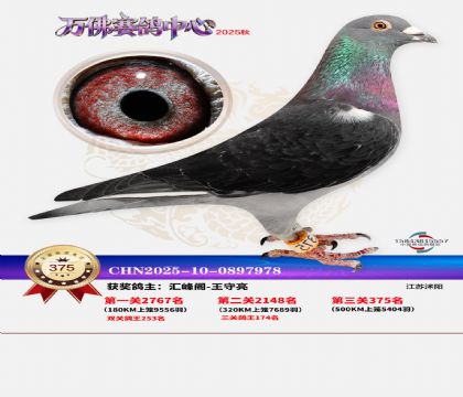 �����f��Qِ375��