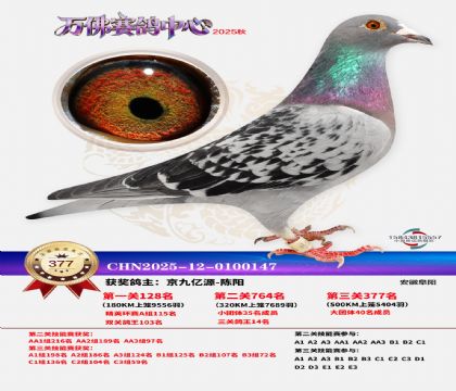 �����f��Qِ377��