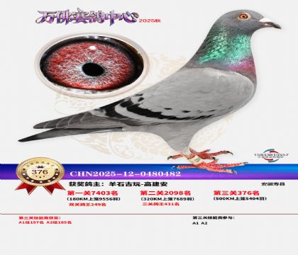 �����f��Qِ376��