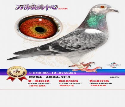 �����f��Qِ378��