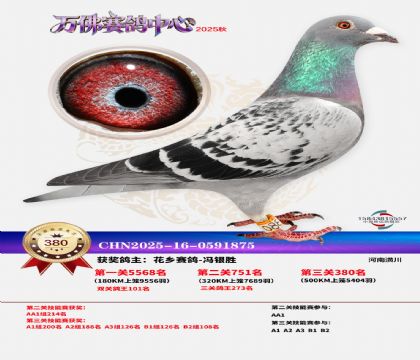 �����f��Qِ380��