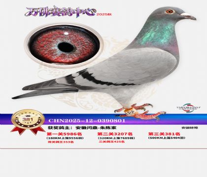 �����f��Qِ381��