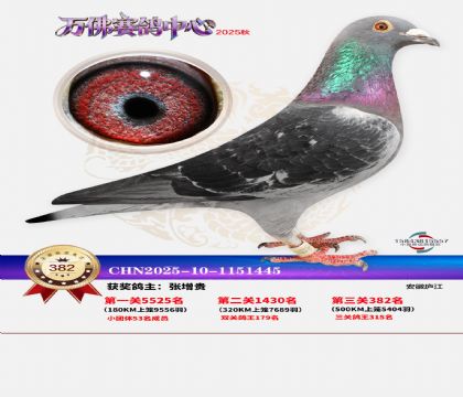 �����f��Qِ382��