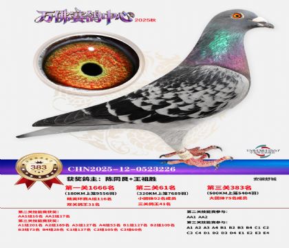 �����f��Qِ383��