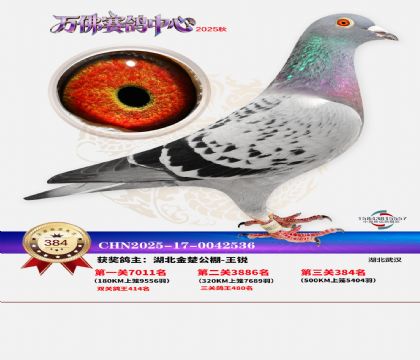 �����f��Qِ384��